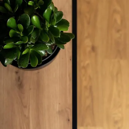 Ts New Town * Stettino