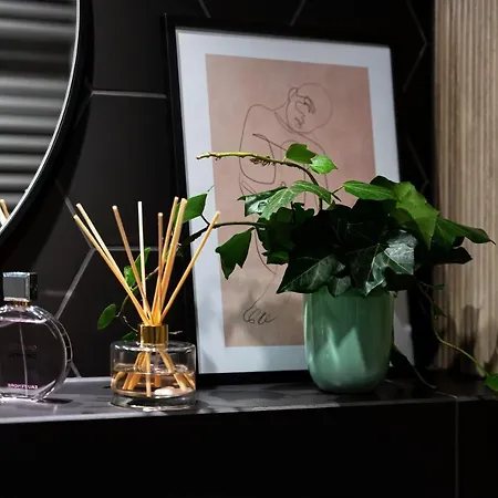 Ts New Town * Stettino