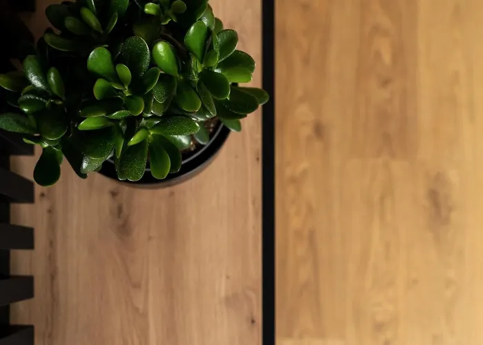 Ts New Town * Στσέτσιν